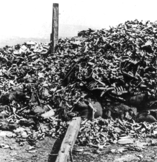 Human remains from combat at Verdun during WWI